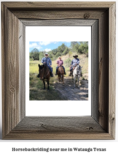 horseback riding near me in Watauga, Texas